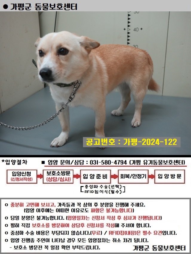 믹스견 이미지 파일 입니다.